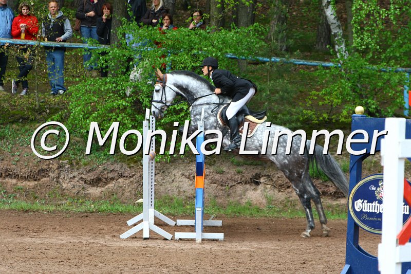 005L5377_Bonita Z_Spring M mit Stechen.JPG